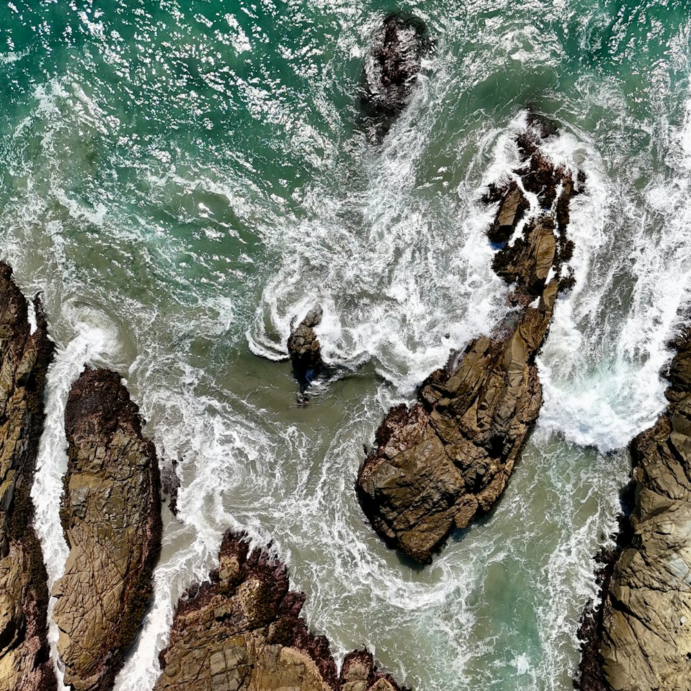Coastal Current: nature creative reference